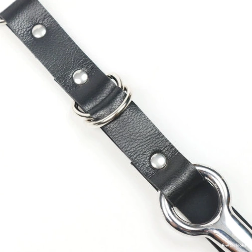 Anal Hooks EverydayUse Anal Kinky Collar Leash Hook with 5853 and 1007